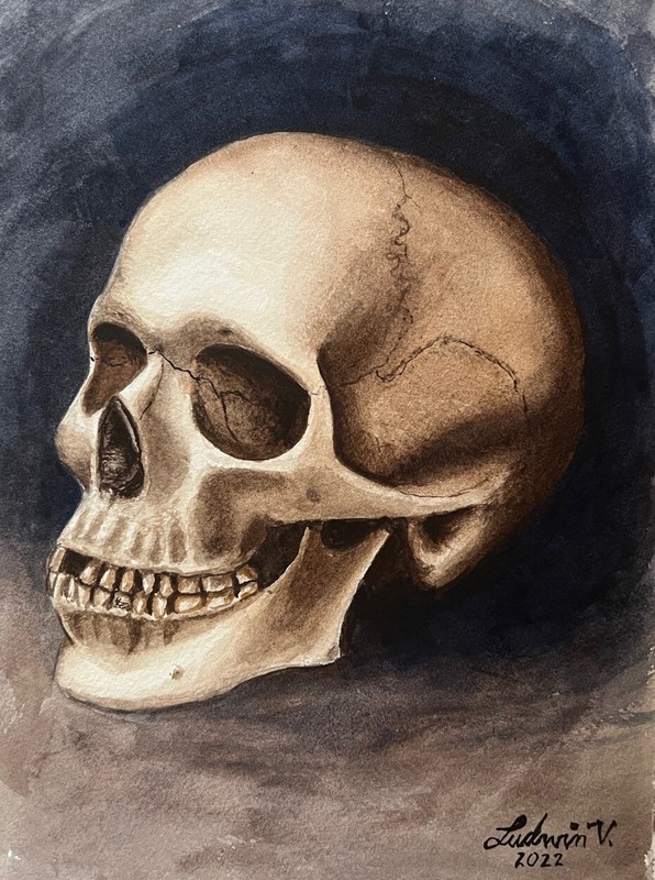 Skull Calavera Watercolor Painting Original Handmade 9x12inches Archival