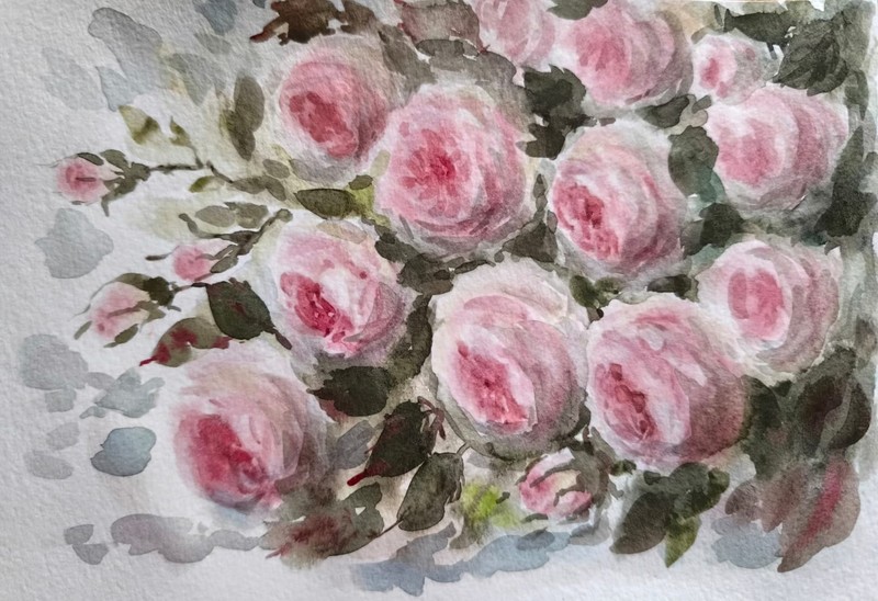 PINK ROSES Original Artwork Painting Flowers Landscape Floral Wall Arts Gift A5