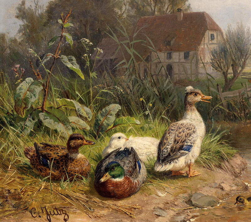 Art Print Decor Duck by the pond s Wall Giclee oil painting printed on canvas gallery