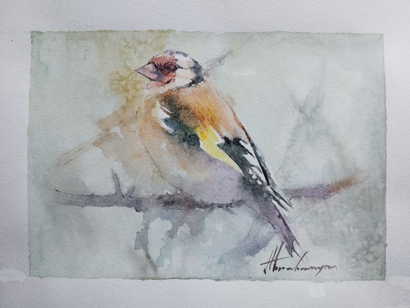 Goldfinch, Birds, Watercolor artwork, Handmade, Original painting on paper