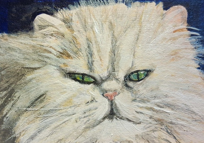 ACEO Original Acrylic Mini Painting Cat White Persian Beauty Collectable LGarcia