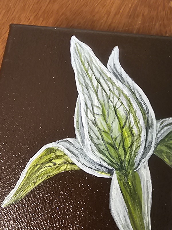 Vicki Sawyer "Rodrigo" Original Oil Painting Magellanic Owl Orchid 12"×9" Signed gallery
