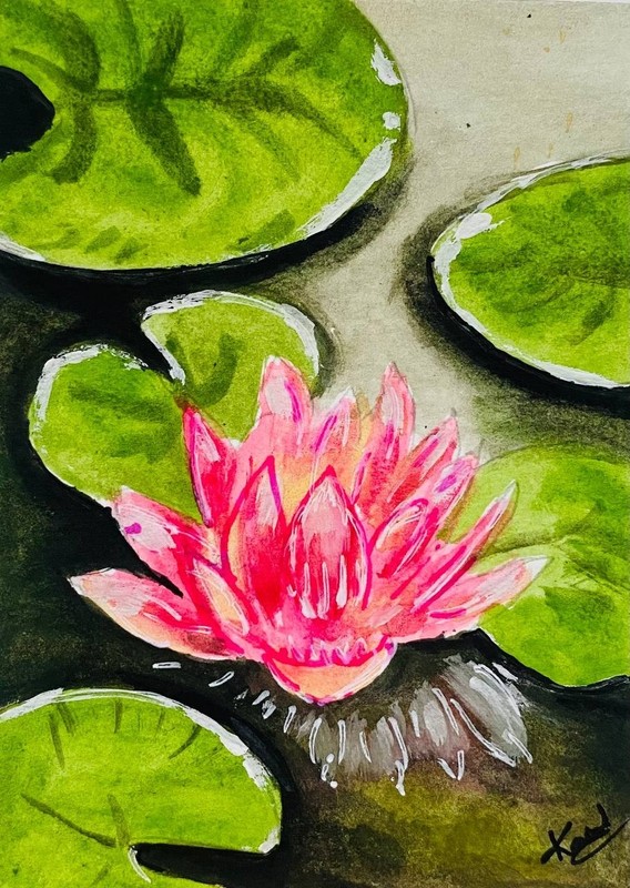Pink Water Lily Watercolor Painting Original ACEO Floral Pond Mini Art OOAK