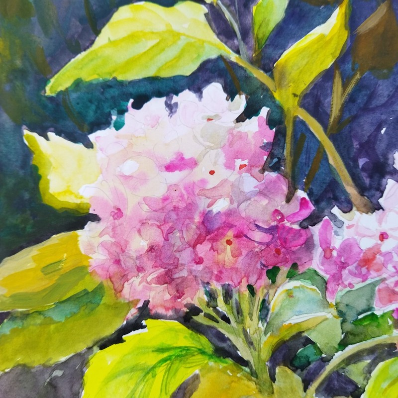 Hydrangeas Flowers Watercolor Painting Original Floral Art Spring Flowers gallery