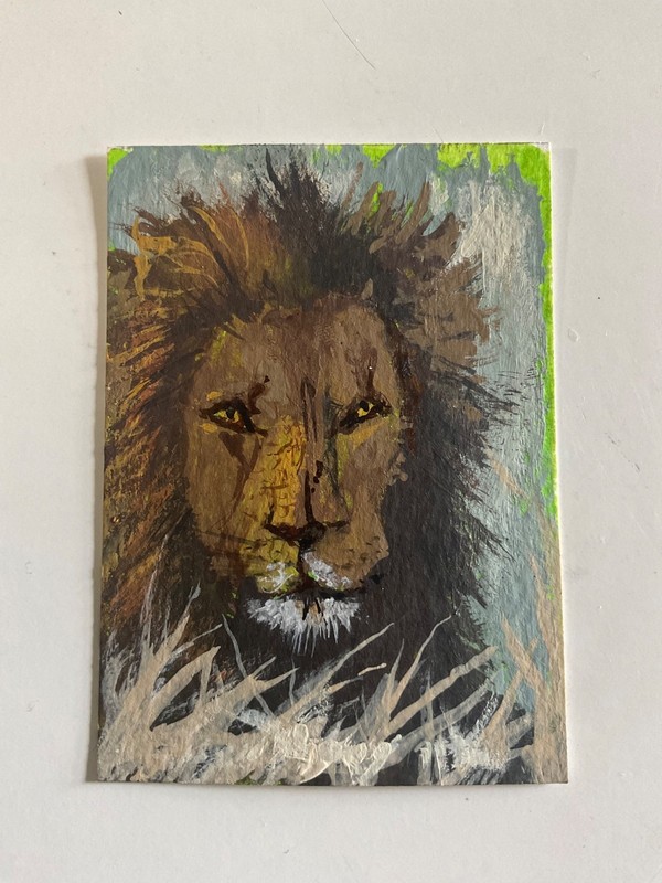aceo original painting lion wildlife gold big cat animal portrait 2.5 x 3.5