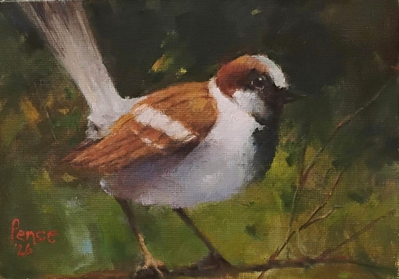 bird art unframed wall decor animals and pets original art
