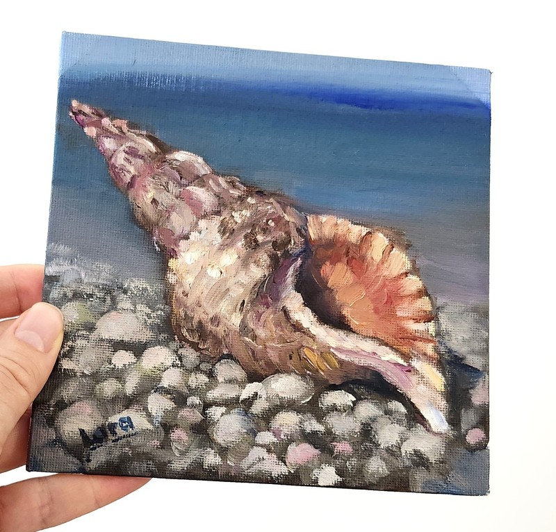 Seashell Original Oil Painting 6×6 Signed OOAK Beach Coastal Art Still Life