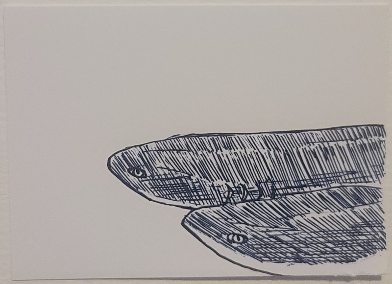 ACEO Original Animal Shark Mini Art Pen Sketch Figurative Art