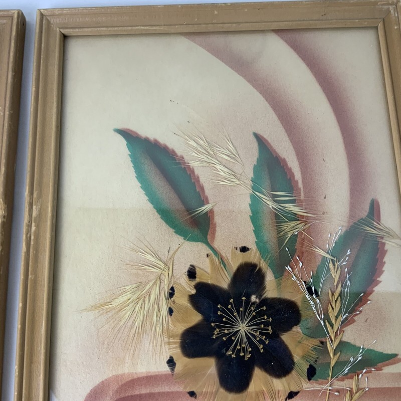 I, Bisek Prokop Handmade Feather Flower Craft Dakota Prairie VTG Framed Set of 2 gallery