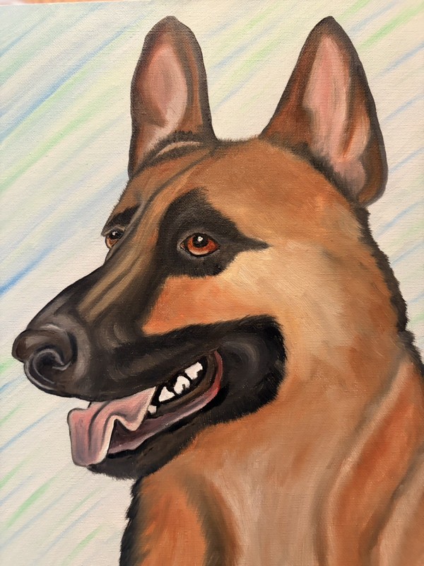 Original oil painting 11 x 14 inches handsome German Shepherd dog signed canvas gallery