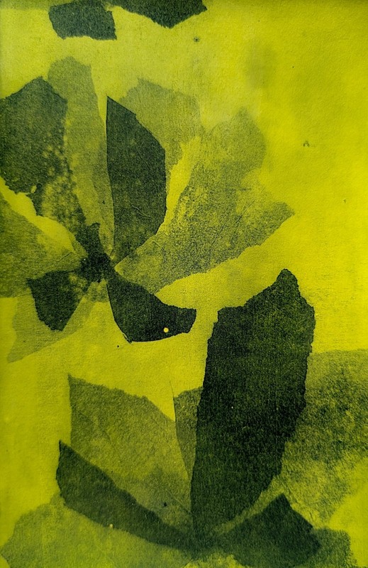 Toned Cyanotype Print. 5.5 x 8.5 Inches on Paper. ‘Flowers’