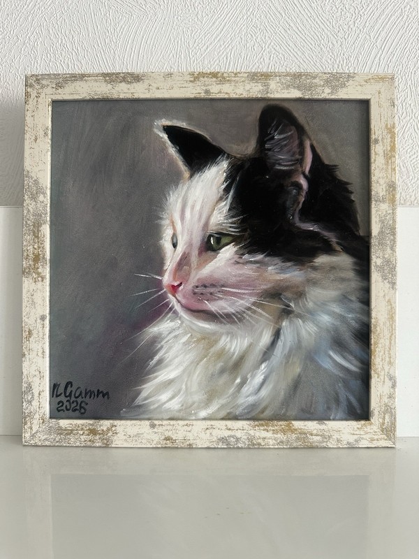 original oil painting Fluffy Cat Portrait Of Pet Framed 20x20cm Wall Art Gift