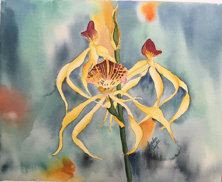 14”X17” Yellow & Red Orchid Original Watercolor By Sandra Taylor