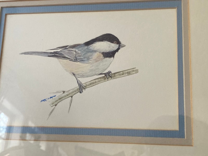 Framed Original Artwork Chickadee on Twig Signed Jerry Lord © 1986 13.5"x10.5" gallery