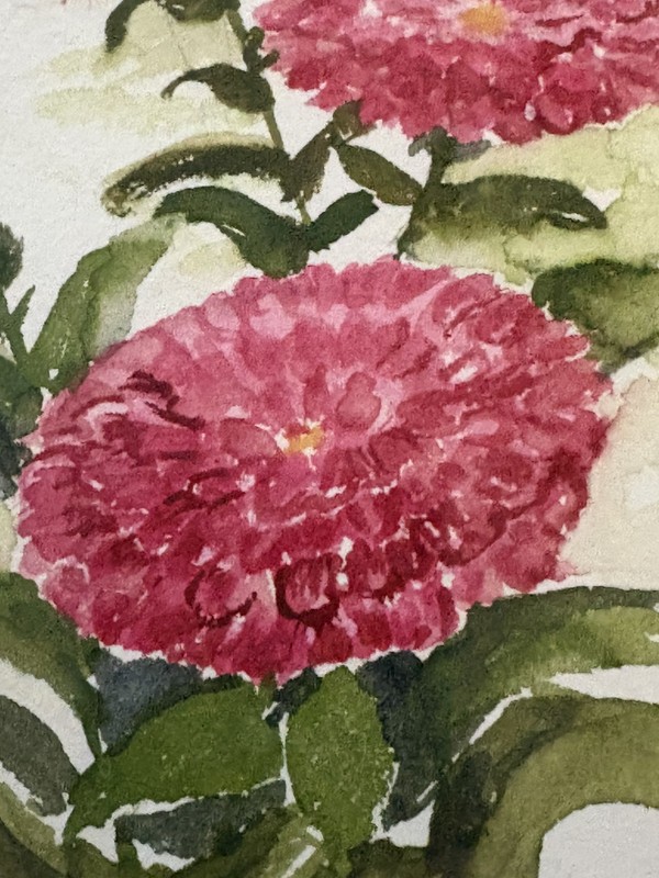 Set of Watercolor Paintings Pink Dahlias Blue Cornflowers Framed Signed 12x9.5” gallery