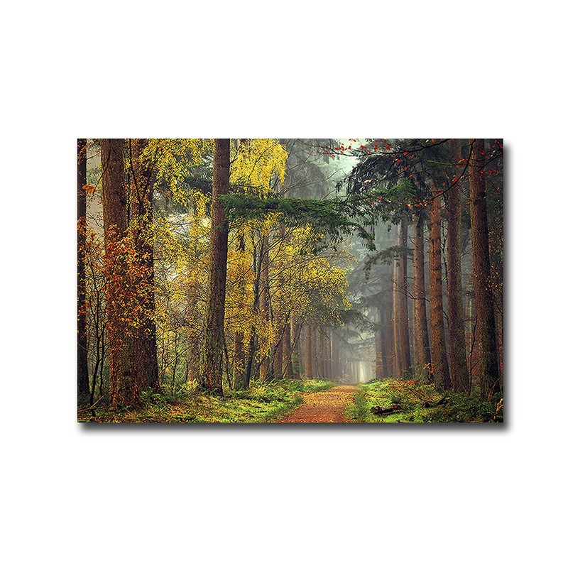 Colors of the Forest by Lars Van de Goor Canvas Giclee Artwork (24 in x 36 in)