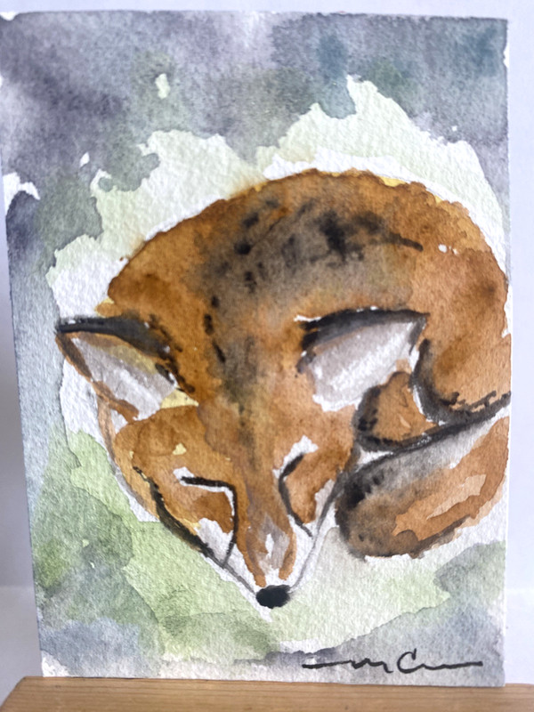 ATC ACEO – SLEEPING RED FOX Watercolor Painting
