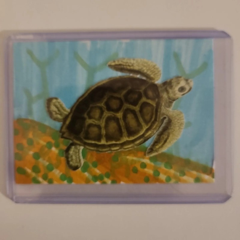 ACEO ORIGINAL ART CARD SEA TURTLE SEASCAPE Underwater Y Farm Caribbean Islands