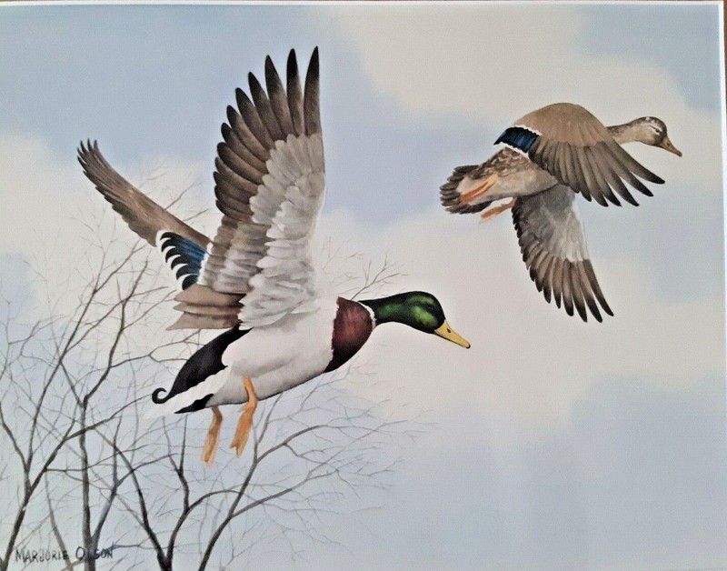 MARJORIE OLSON (1934-2018), Original Watercolor, Pair Mallards in Flight gallery