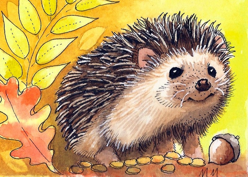 ACEO Limited Edition -Hedgehog print of Original Watercolor