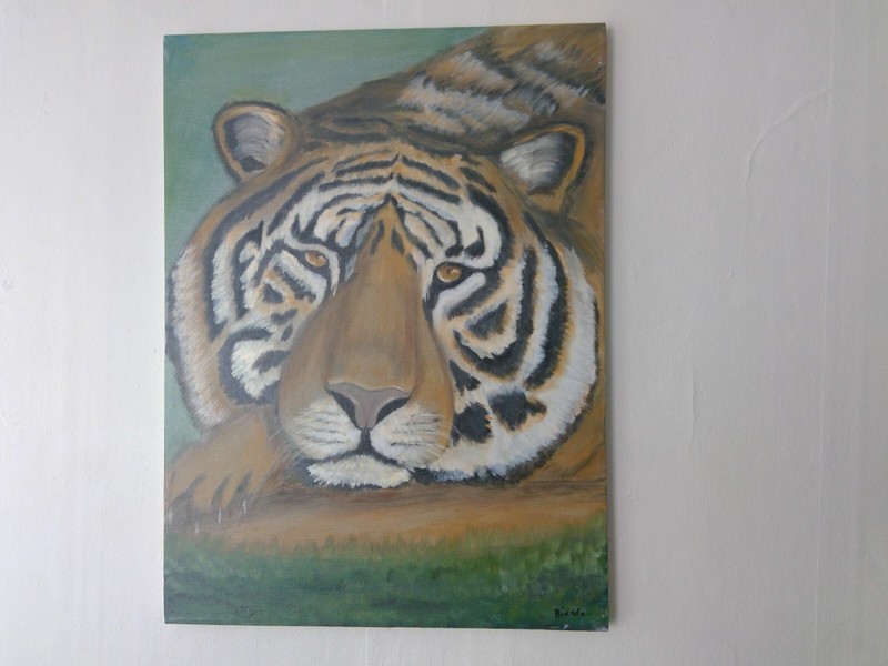 Tiger at Rest Colorful Original Signed Oil Painting 18x24 Inches gallery