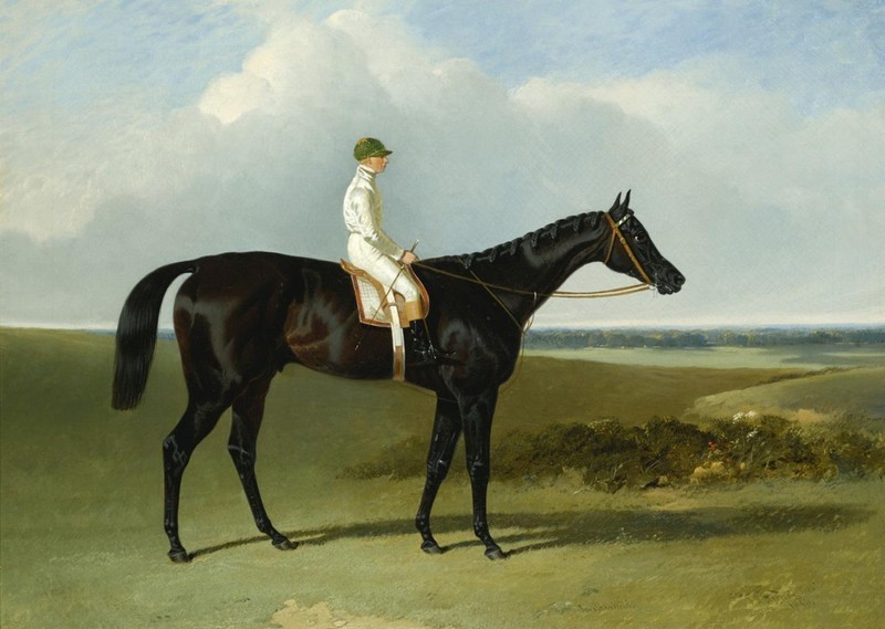 Handmade Old Master-Art Antique Oil painting Animal Bay Racehorse men on canvas gallery