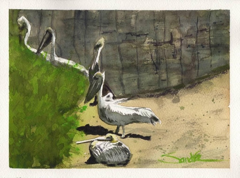Sea Birds at Pismo : Sandra Watercolors™ California : ORIGINAL PAINTING