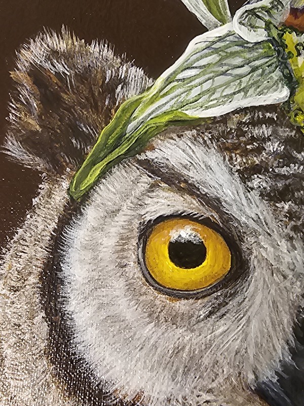 Vicki Sawyer "Rodrigo" Original Oil Painting Magellanic Owl Orchid 12"×9" Signed gallery