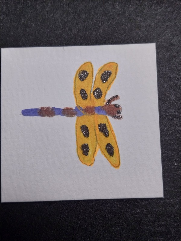 Dragonfly Dollhouse MINIATURE 1:12 Art PICTURE 2x2 inch Hand Painted Painting gallery