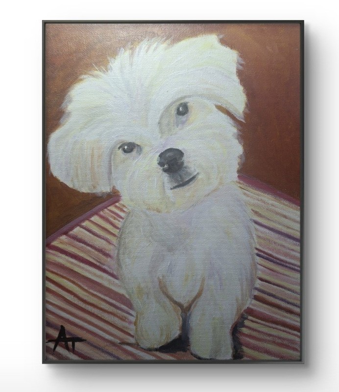 Original Maltese Dog 8x10 Scretched Canvas Painting gallery
