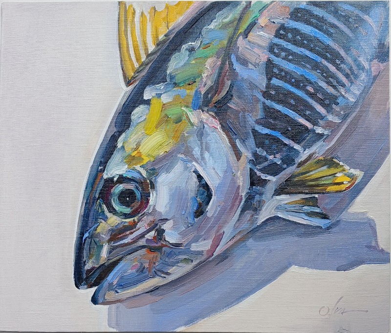 Original Modern Oil Painting Canvas Cardboard Sea fish. Mackerel 9х13″/25х35