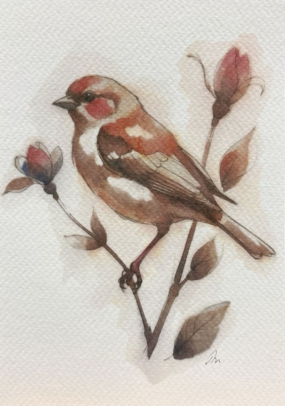 Original Watercolor Painting Finch Bird Size (5×7 inches)