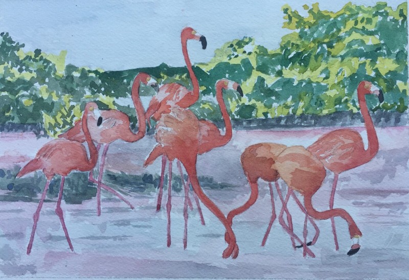 FLAMINGOS / ORIGINAL WATERCOLOR / 9" H X 12" W / MIMI DAVIS, ARTIST gallery