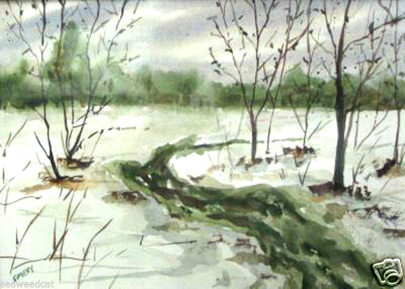 Winter Stream by Helen Emery