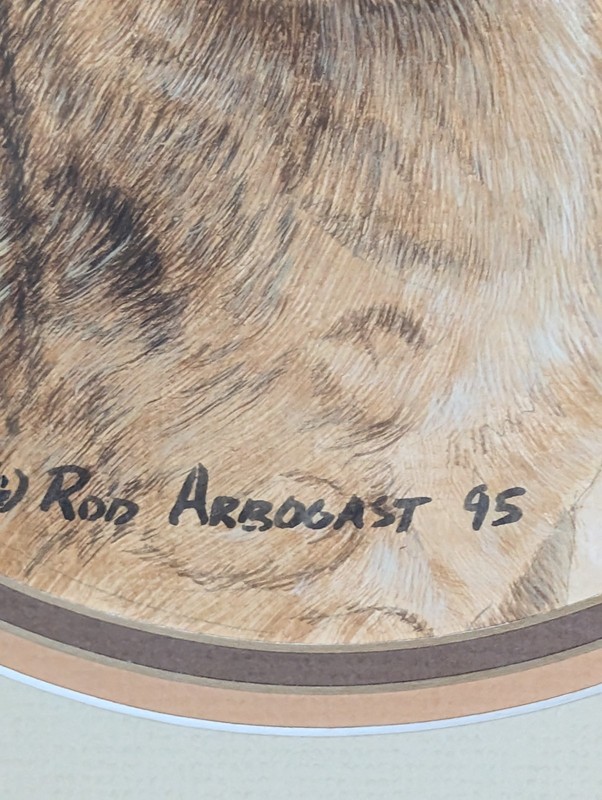 Rod Arbogast 1995 Original Watercolor Of A African Lion Cub Wildlife Magazine gallery