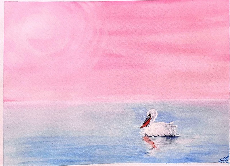 Pelican Abstract Pink Ocean Watercolor Painting Original Artwork gallery