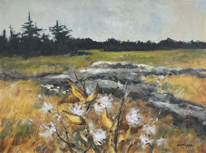 Original Impressionist Painting Landscape Milkweed Pods Acrylic /Canvasboard