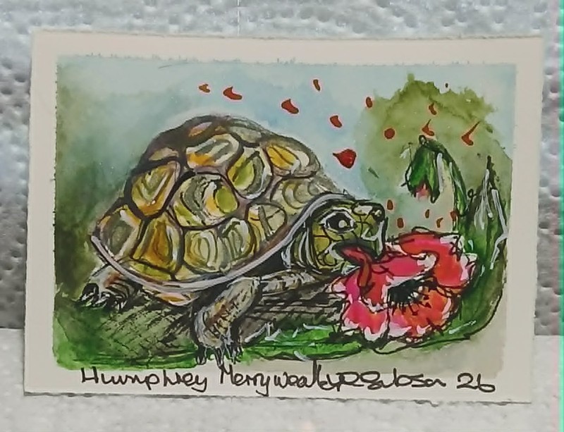 ACEO OOAK Watercolor Scribble – Tortoise Eating Flower – Nature Miniature