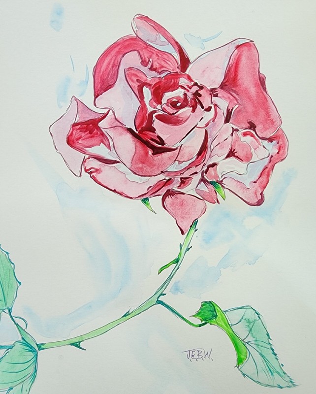 Sunshine Rose