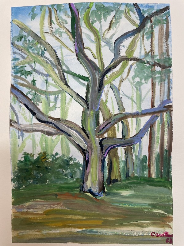 Southern Oak Tree Florida NOLA Gouache Painting 12 x 9 Inches Contemporary Art gallery