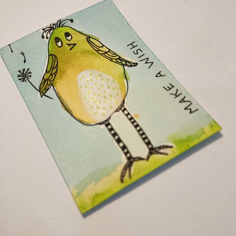 ACEO Original Painting Quirky Bird Make a Wish 2.5 x 3.5 Inches - AMBER K gallery