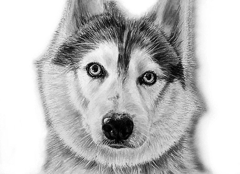 CUSTOM DOG PORTRAITS Cat Pet Animals Original Painting from Photo Loss of Pet A4 gallery