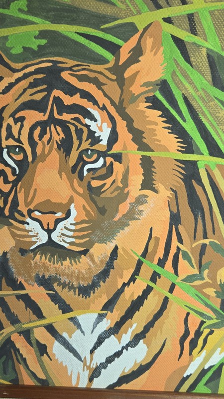 Framed Paint by Numbers Bengal Tiger Head Jungle Painting 12x10 Streched Canvas gallery