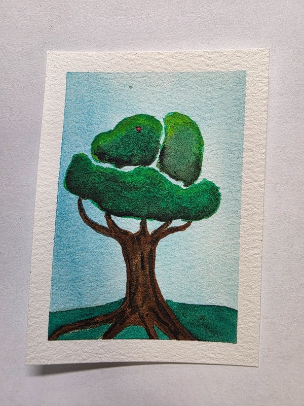 Bird In A Tree – ACEO – Art – Watercolor – Ink