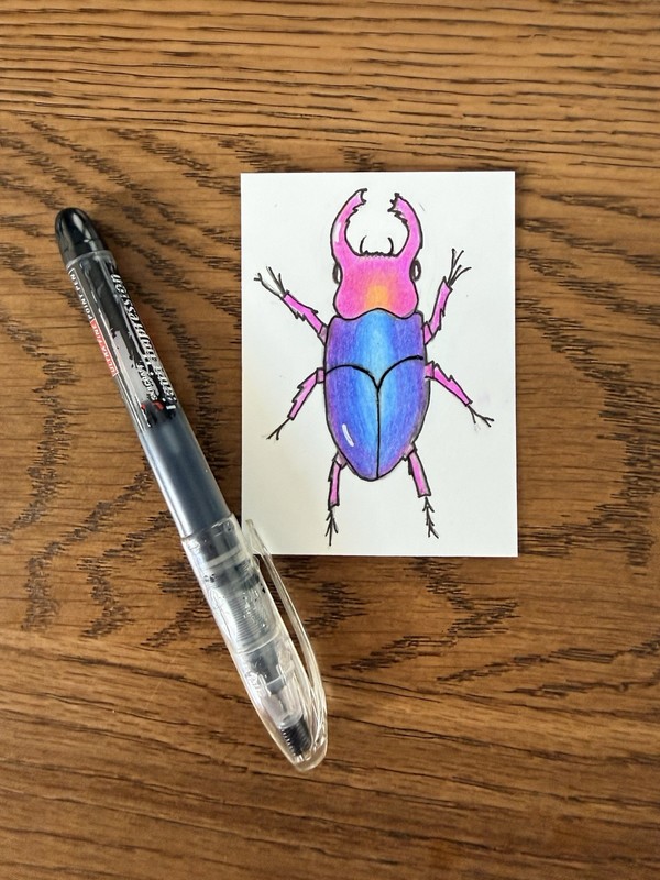 ACEO Original Colored Pencil Art Card Neon Beetle 2.5 x 3.5 Signed gallery
