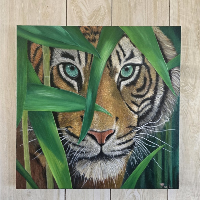 Oil On Canvas Tiger By Local Artist Large Gallery Wrapped Canvas 24 X 24 In