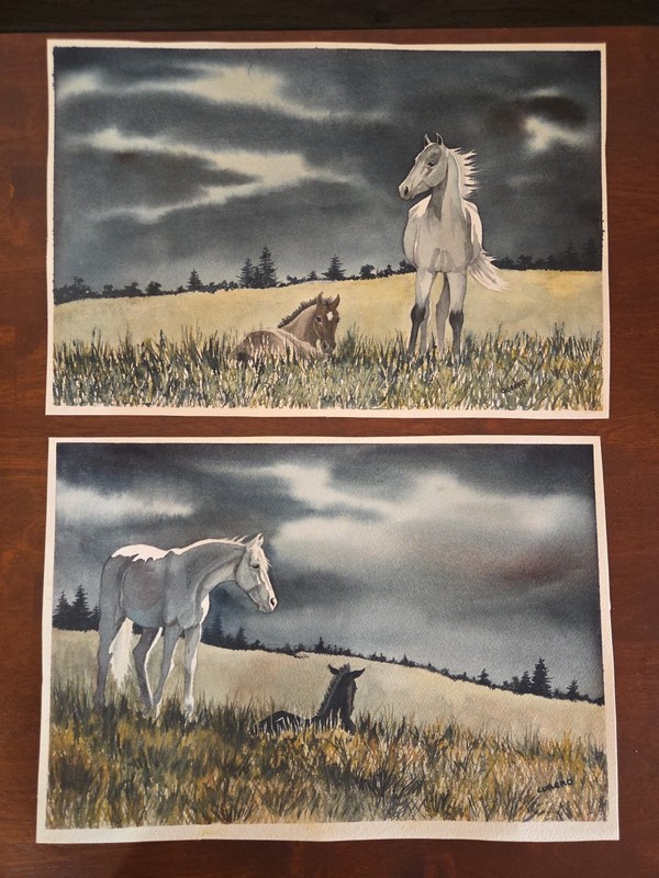 2~Original Watercolor White Horse Black Foal Signed ‘Cubero’ 11×15 Gallary Wall