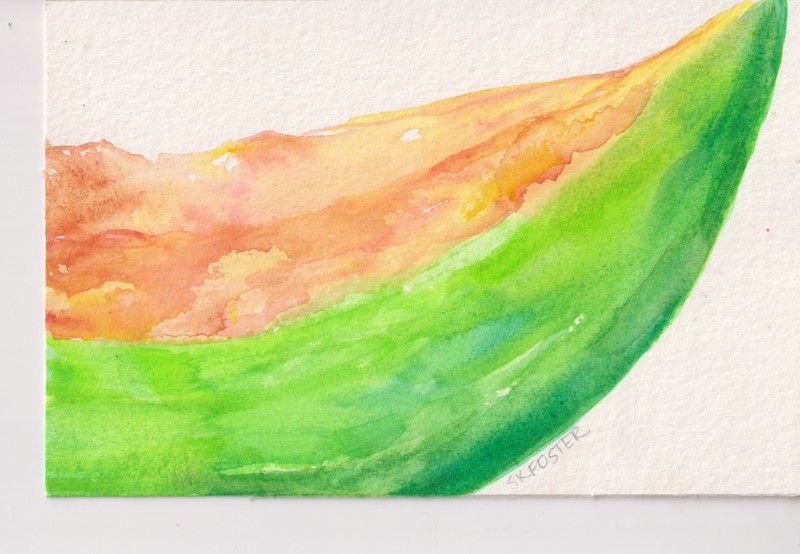 4 x 6 Cantaloupe Original Watercolor Painting, Fruit Sharon Foster Art