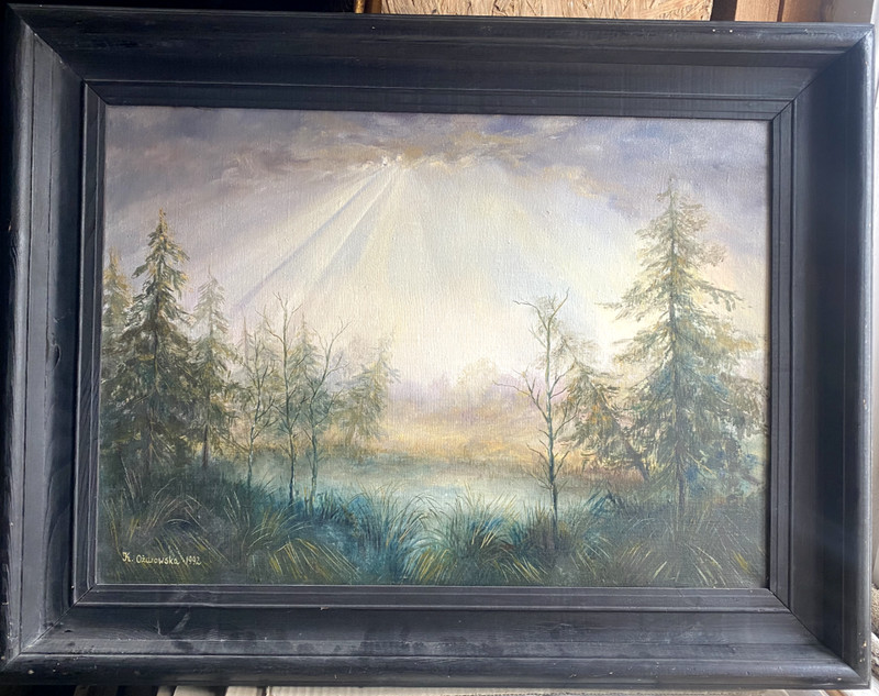 ::OIL PAINTINGS LANDSCAPE K. OZAROWSKA 1992 FIRS IN BACKLIGHT MEADOW FRAME POLIA