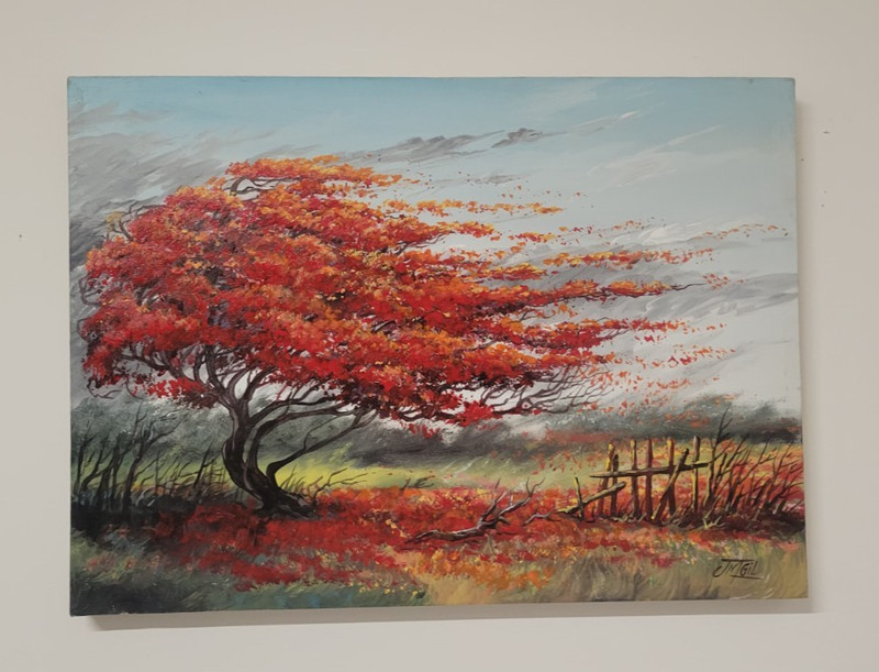 CUBAN ART BY JOSE.GIL ORIGINAL PAINTING ON CANVAS! CUBA ROYAL POINCIANA/ TREE!